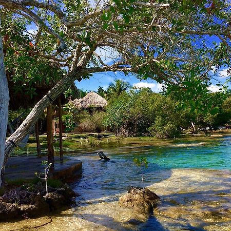 Casa Caracol Hotell Bacalar Exteriör bild