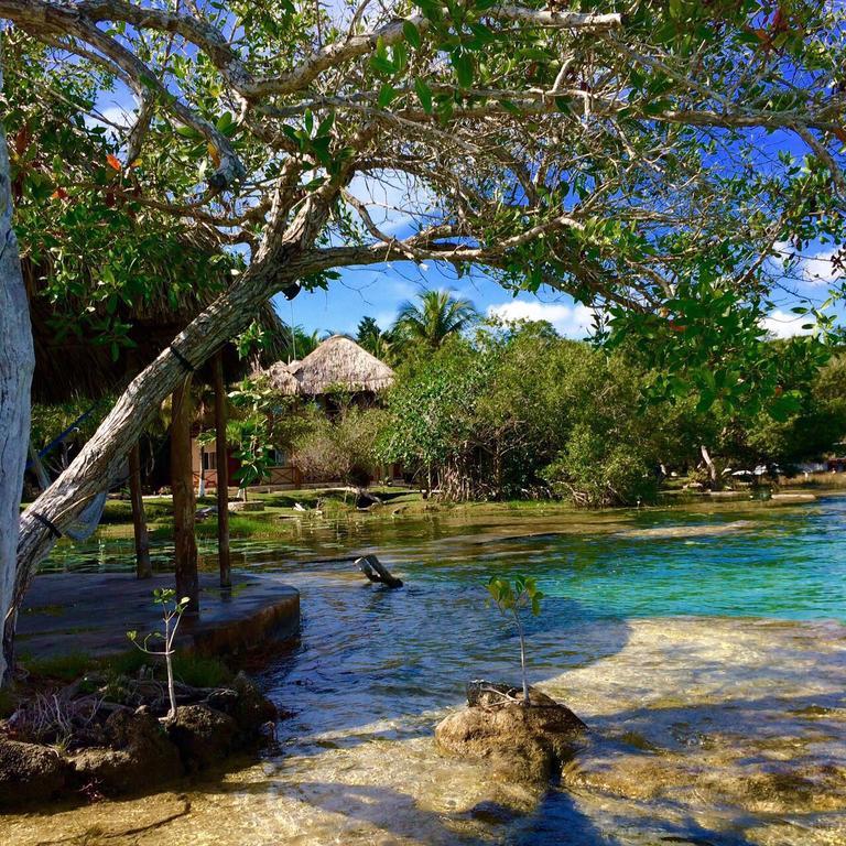 Casa Caracol Hotell Bacalar Exteriör bild