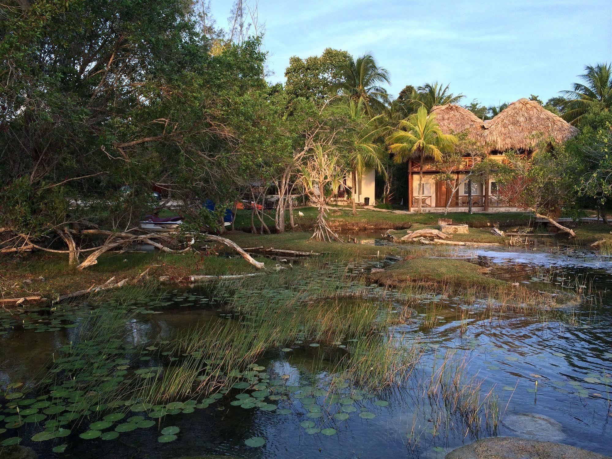 Casa Caracol Hotell Bacalar Exteriör bild