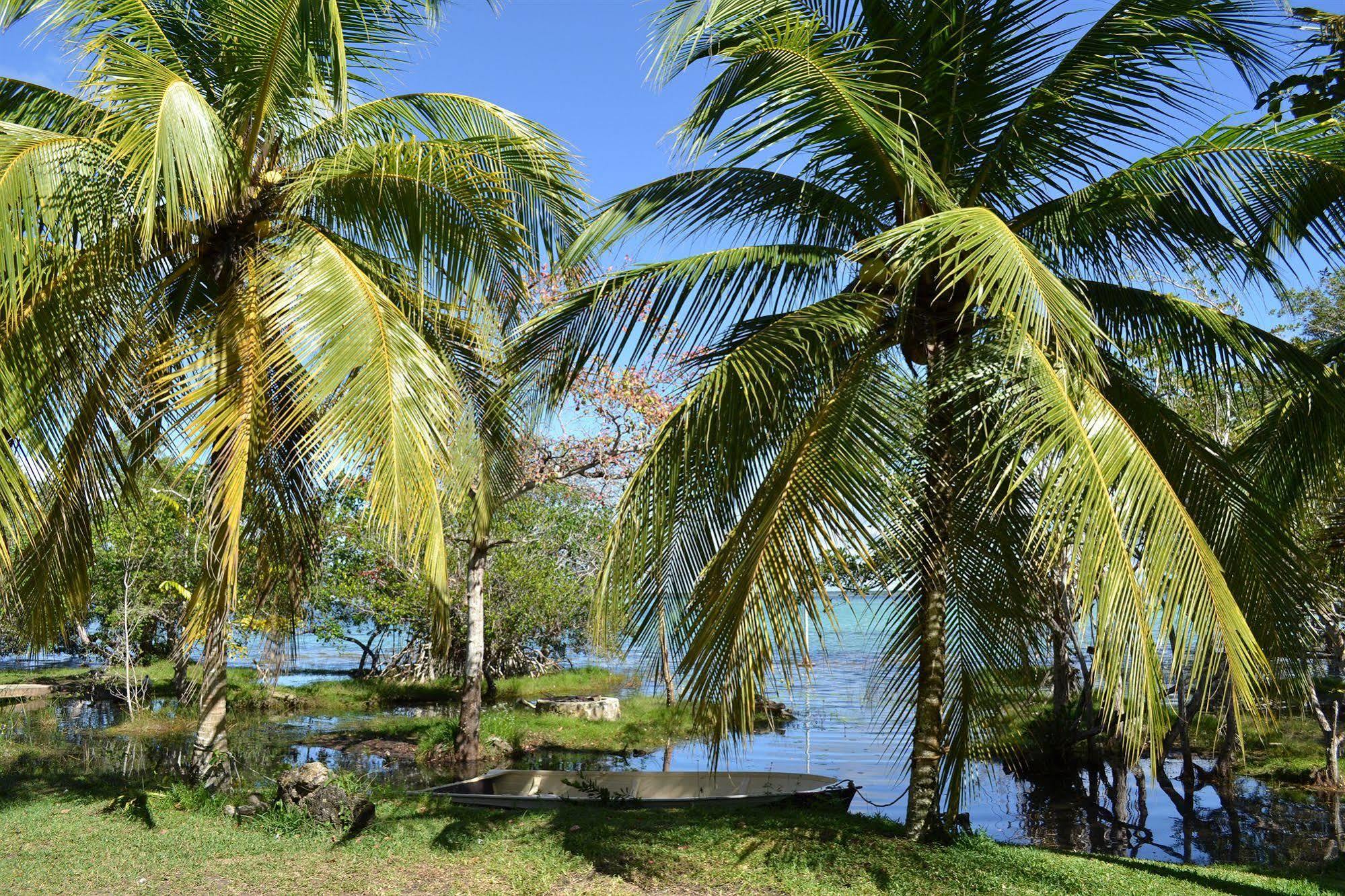 Casa Caracol Hotell Bacalar Exteriör bild