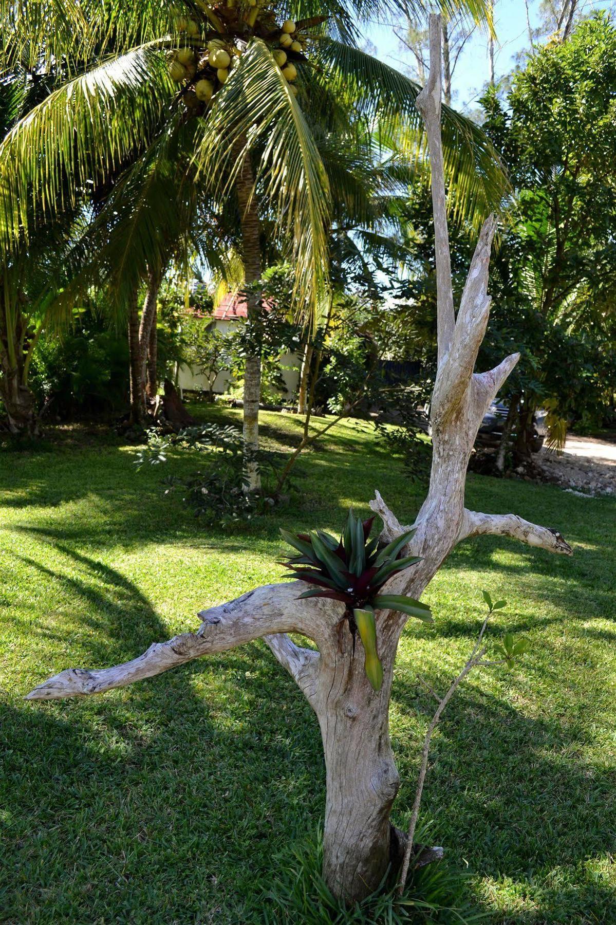 Casa Caracol Hotell Bacalar Exteriör bild